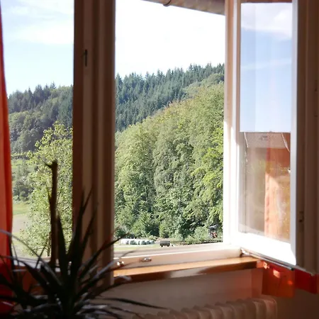 Boersighof, 54qm Apartment Seebach