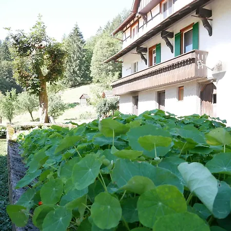 Apartament Boersighof, 54qm Seebach